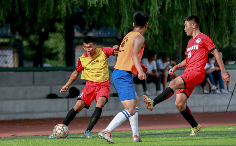 广岛三箭主帅：申花球员身体素质很强，我们要发挥技术优势（广岛三箭主帅：申花球员体能出众，我们将以技术取胜）
